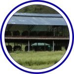 galpomes dos pisos cali